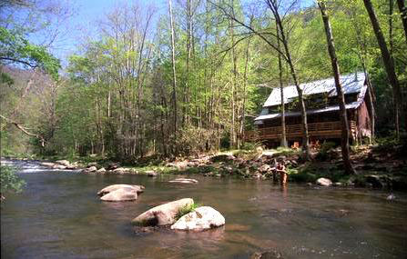 Nantahala River Lodge 