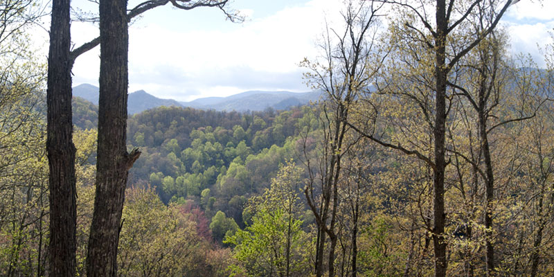 view from top of Nantahala Mountain