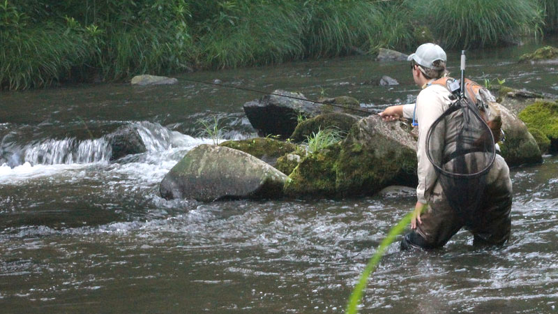 Nantahala River Hatch Chart